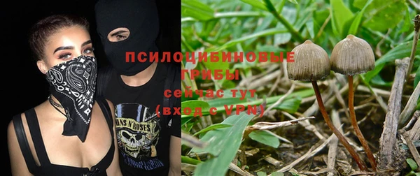 mdpv Переславль-Залесский