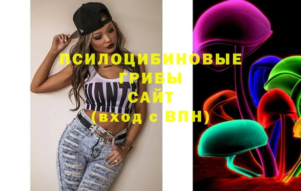mdpv Переславль-Залесский