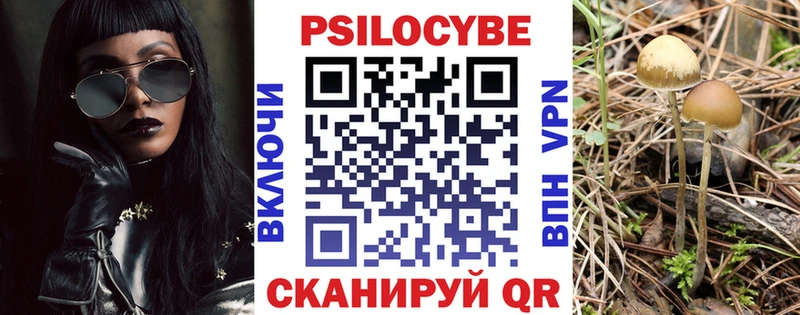 Галлюциногенные грибы прущие грибы  Бирюсинск 